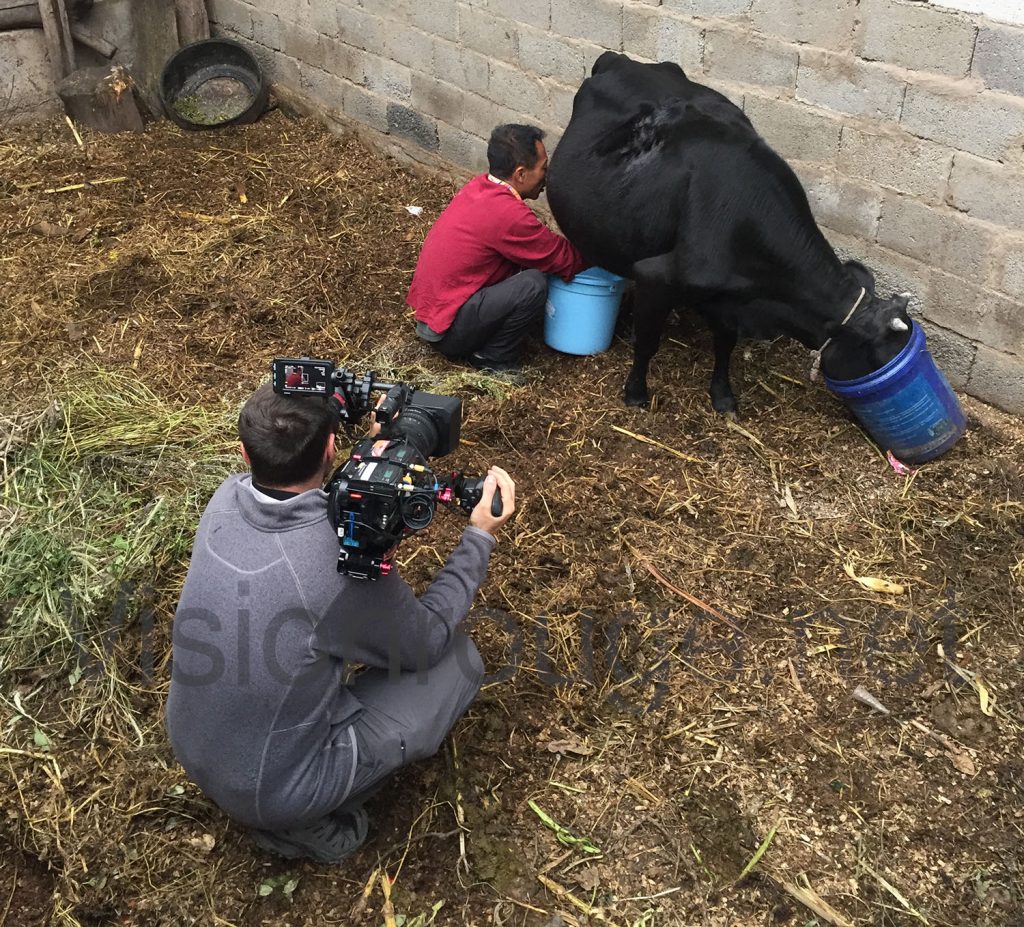 cameraman hire our local camera operator and rent the shooting gear for your TV documentary in Shangri-La Yunnan cameraman hire our local camera operator and rent the shooting gear for your TV documentary in Shangri-La Yunnan