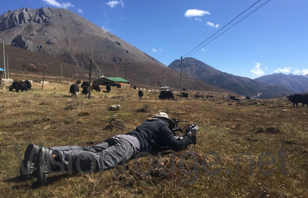 looking for hire our local camera operator and rent the shooting gear for your TV documentary in Shangri-La Yunnan looking for hire our local camera operator and rent the shooting gear for your TV documentary in Shangri-La Yunnan