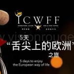 ICWFF_camera_b-roll_video_coverage_shenzhen_local_team_China