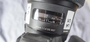 lens time-lapse plant